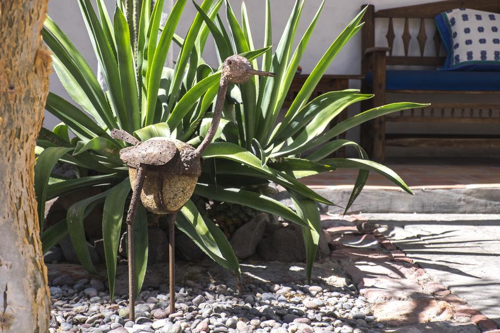 El Angel Azul Hacienda Hotel La Paz Kültér fotó
